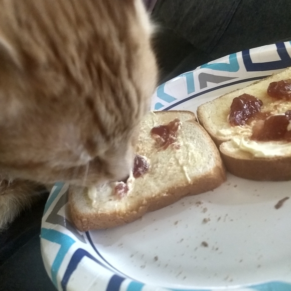 100k THANK YOU FRIENDS - Picture 10 of 14